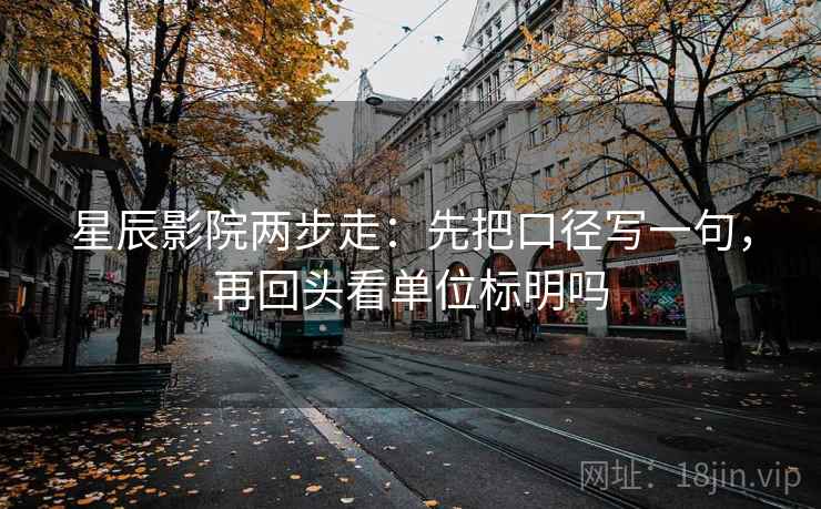 星辰影院两步走：先把口径写一句，再回头看单位标明吗